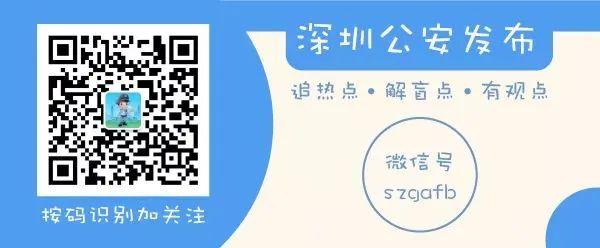 探索澳门，2025澳门精准资料大全——资料下载与App免费体验