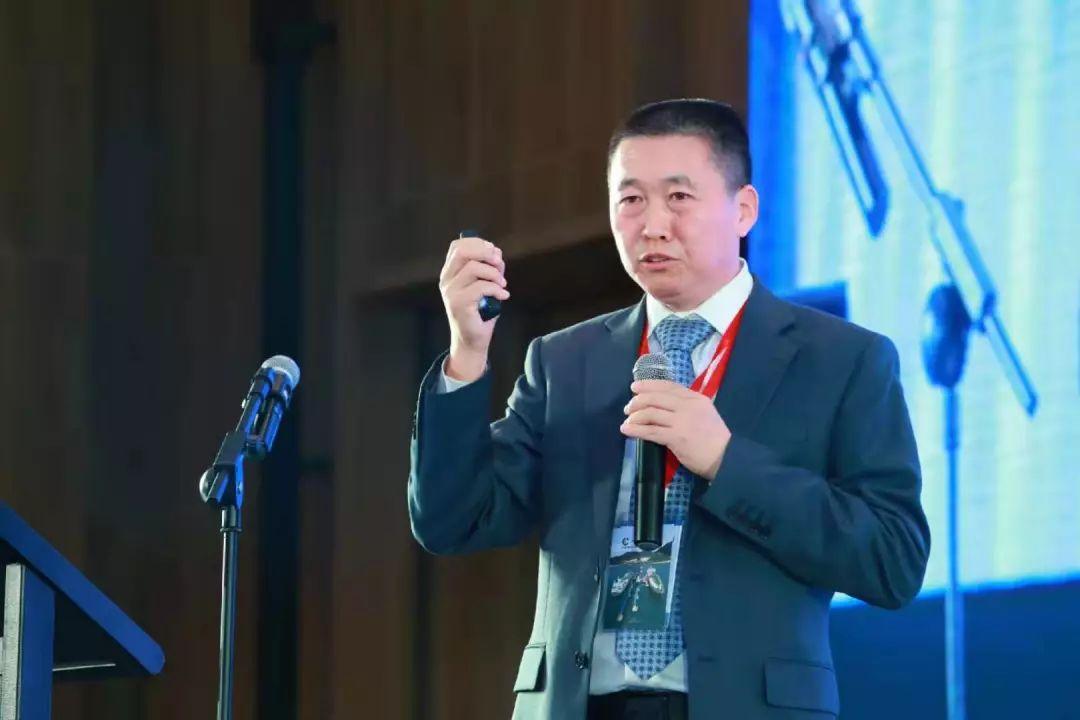 探索新奥世界，特别号码与未来展望