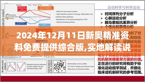 新澳2025年正版资料更新，全面释义解释与落实策略——以创新为核心驱动力