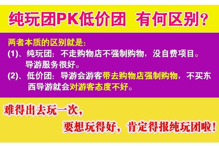 关于新澳天天正版资料大全的全面解答与解释落实——走进未来的指引（附详细资料）