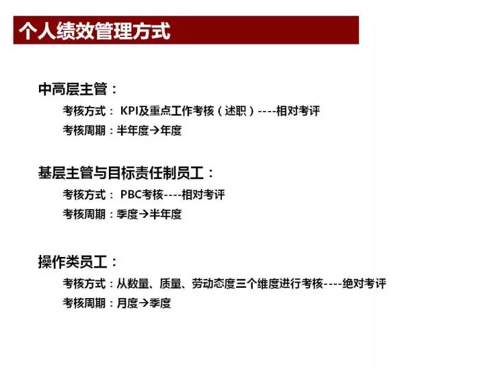 迈向未来的精准资料大全，全面释义解释与落实策略