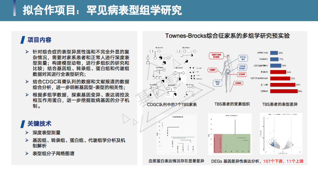 澳2025一码一肖，精准预测与解答解释落实的探讨