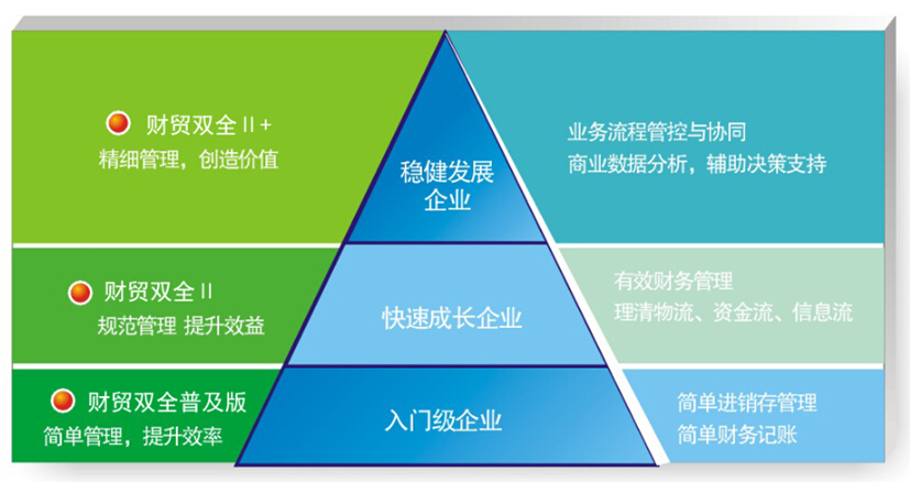 关于2025管家婆一肖一特的解读与落实方案_Z1407.28.97 在国内的应用与影响