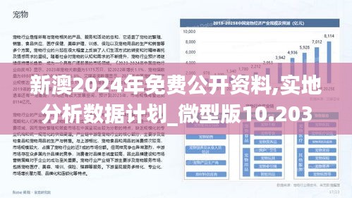 新澳2025年最新版资料前沿解答解释落实研究分析报告（标题）