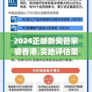 新奥管家婆资料2025年85期前沿解答与深度解读