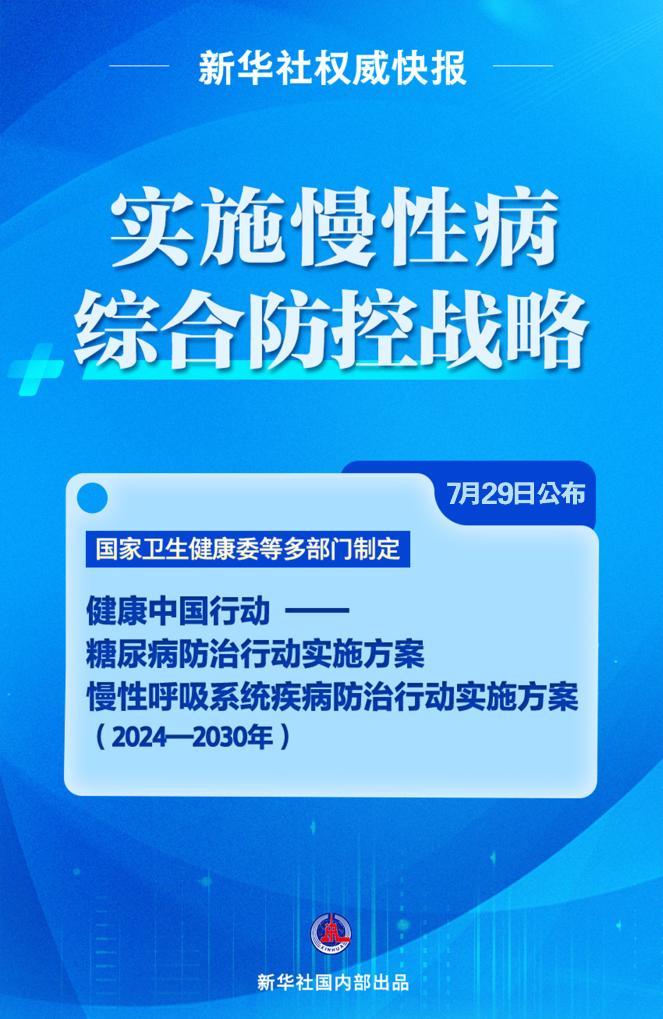 关于新澳天天正版资料大全的全面解答与落实策略到2025年