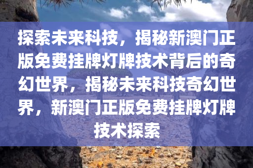 探索未来之光，澳门正版挂牌灯牌解析与落实策略