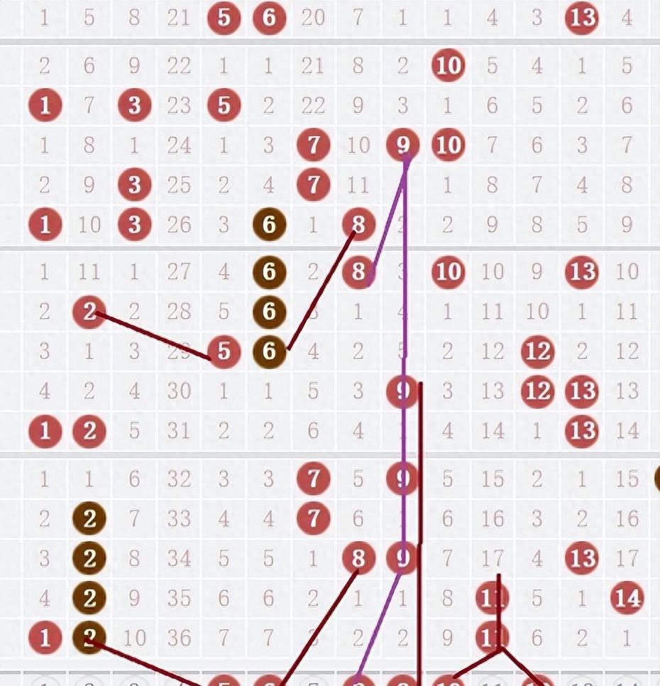 四肖必中期期准长期免费公开，精选解释解析落实策略与最佳精选之道