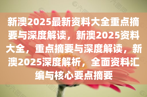 深度解读2025新澳正版资料最新更新——全面解析与落实行动