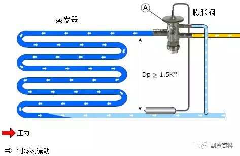 广东八二站免费精选解释解析与健康及上海光乐制冷设备的关联