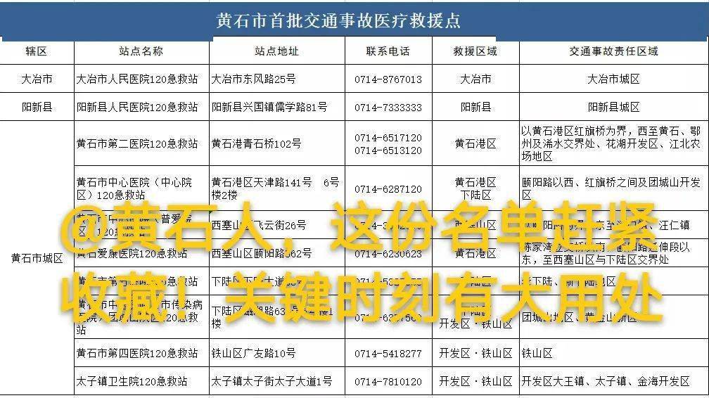 澳门精准正版挂牌，迈向未来的蓝图与行动路径——全面释义与落实的资讯解读