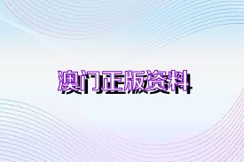 新澳门2025资料大全精选解析，探索、落实与展望——热点探索