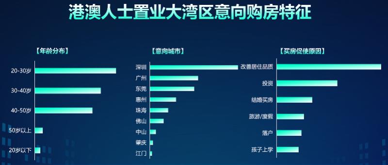 新澳门最精准免费大全2025，楼市全面释义、解释与落实