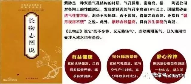 揭秘一码一肖预测真相，深度解析与科学解读