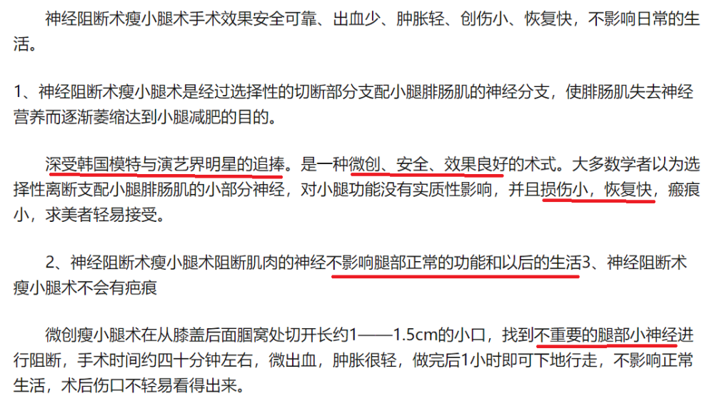 迈向未来的澳门，免费精准资讯大全与词语释义的落实——新闻视角