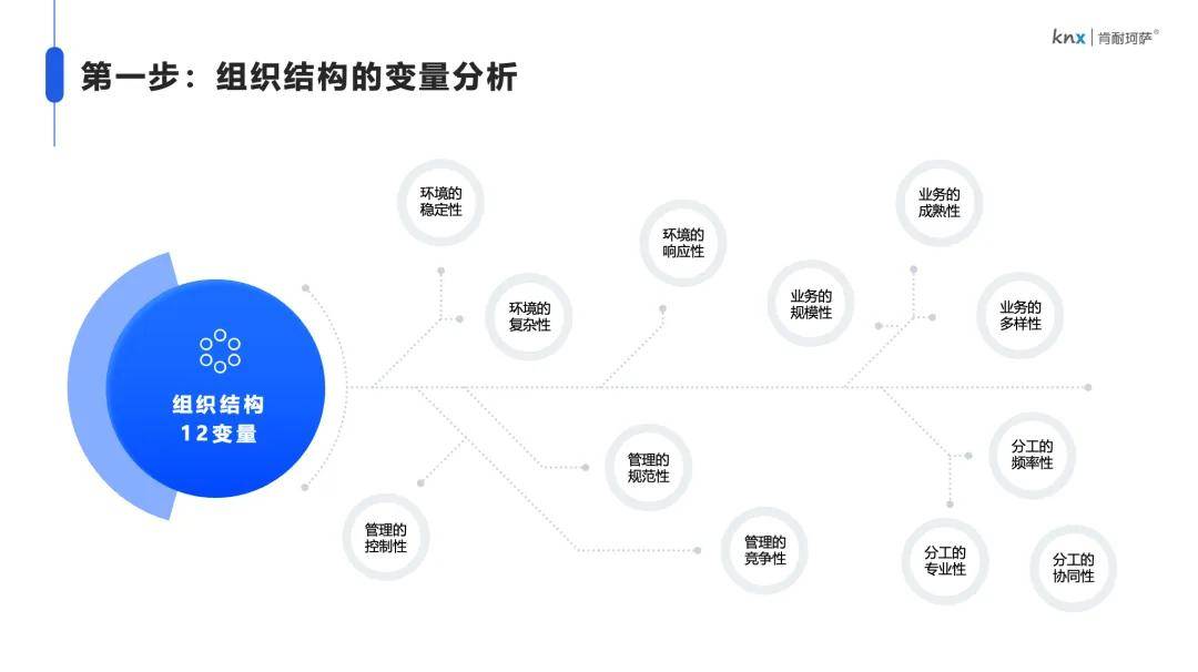 探索澳门，2025澳门精准资料大全——资料下载与应用指南