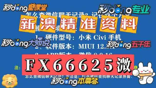 新澳门2025资料大全精选解析，探索、落实与展望——热点