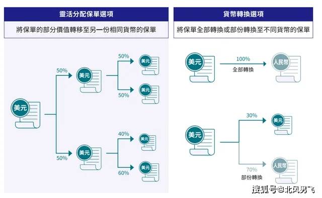 揭秘一码一肖，深度解析预测准确性及背后的逻辑