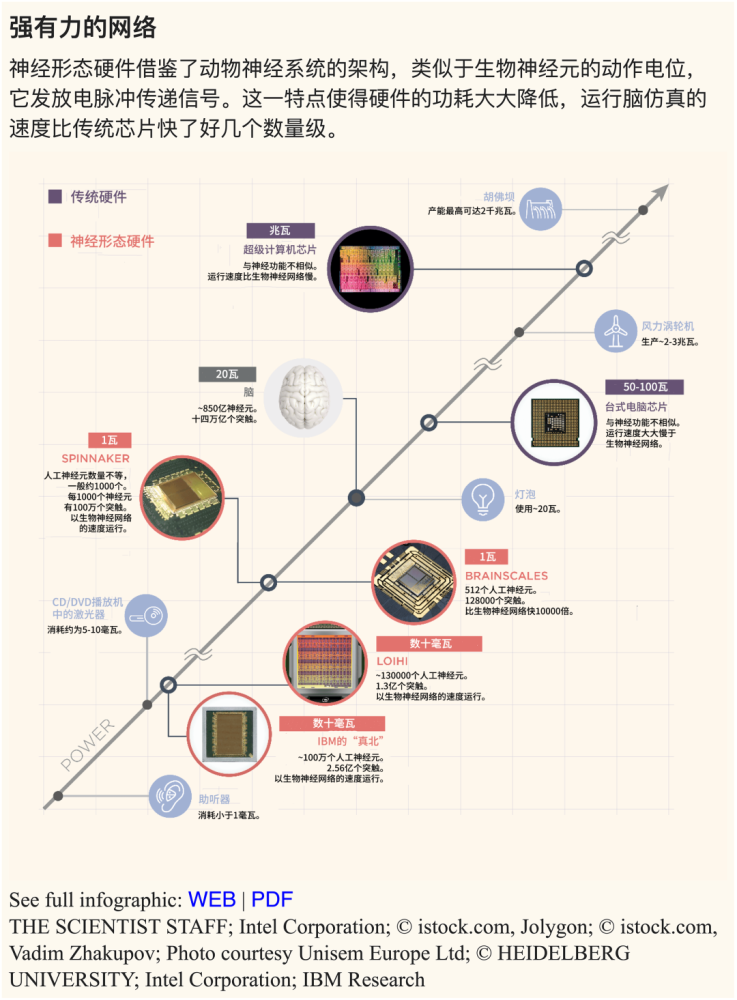 探索未来之门，关于澳门正版挂牌的专家解读与定义